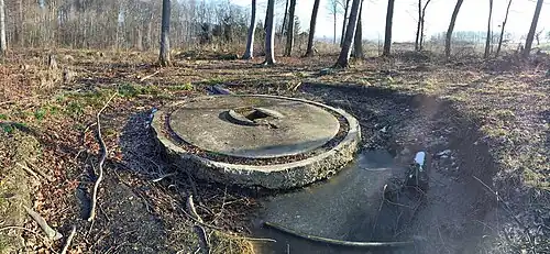 Ba 349 "Natter" Stellung im Hasenholz 1