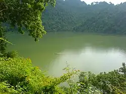 Mit Blick aus dem Gebirgsurwald