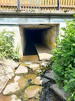 Bach Lauter im Ort Lauter