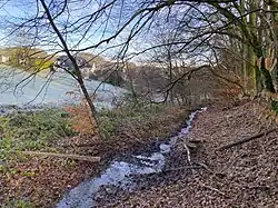 Bach südl. „Zum Wickchen“