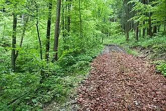 Der Wanderweg durch das NSG