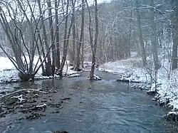 Im unteren Hergstbachtal. Das Bachbett des Hergstbachs erscheint vielerorts unverhältnismäßig breit.