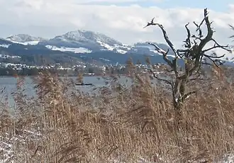 Bachtel (linke Bildmitte) und Auenberg (ganz links) über den Pfäffikersee gesehen