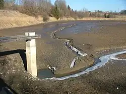 Mönch in einem abgelassenen Teich