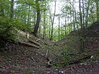 Bertaburg auf dem Kornberg