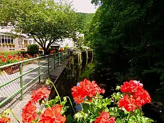 Promenadenweg am Üßbach in Bad Bertrich