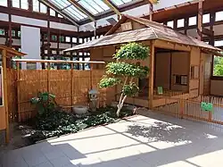 Teehaus oben im Pflanzenhaus