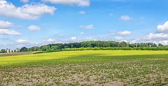 Der Asenberg, Ansicht von Südosten