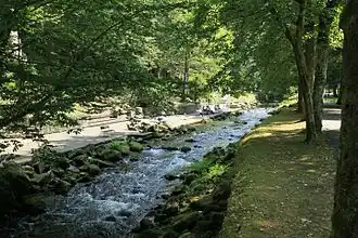Große Enz im Kurpark von Bad Wildbad