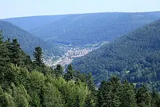 Das Enztal im Schwarzwald bei Bad Wildbad