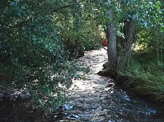 Der Fischbach (Badische Eschach) in Horgen