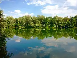 Südufer des „Baggerweihers“