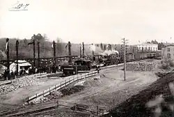 Bismarck-Huldigung der deutschen Studentenschaft am Bahnhof Friedrichsruh (1. April 1895)