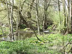 Flüsschen Bahra zwischen Urspringen und Sondheim vor der Rhön