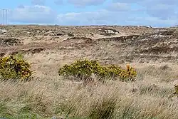 Typischer Ausblick auf die mit Steinen und Büschen durchsetzte Moorlandschaft, von der Regionalstraße R336 her aufgenommen