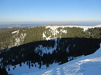 Baldenweger Buck vom Feldberggipfel