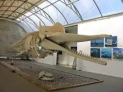 Ausstellung im Inneren