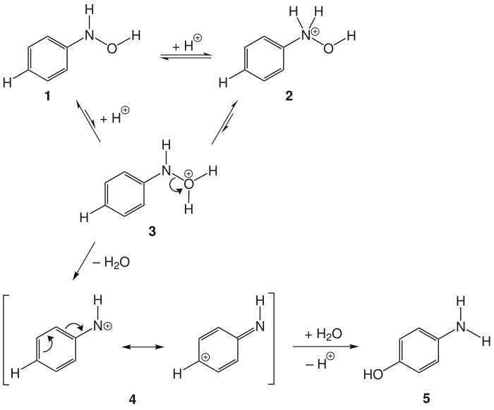 Reaktionsmechanismus der Bamberger-Umlagerung