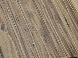 Bambusparkett mit deutlicher Maserung