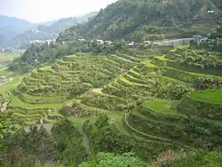 Seitliche Farbfotografie in der Obersicht von mehreren nebeneinander liegenden Anbauterrassen, die durch ihre Grünflächen und Hänge aus Sträuchern mit dem bewachsenen Berg im Hintergrund verschmelzen. Der Übergang zum Berg ist mit Häusern und einer Straße versehen. Unten links sind die Flächen nass.