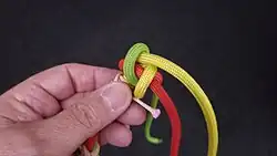 Man bringt den Knoten „in Form“, indem man die einzelnen Kardeele mit dem linken Daumen weiter hochschiebt. Hier das grüne.