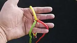 Dreikardeeliges Seil