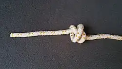 Den Knoten an beiden Tampen (Enden) festziehen und dabei die äußeren Törns nach innen drücken.