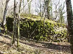 Tumulus von Barbirey-sur-Ouche – La Table du Druide