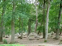 Felsen im Wald hinter dem Dorf