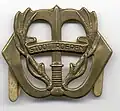 Regimentsabzeichen Stoottroepen mit Stormdolk
