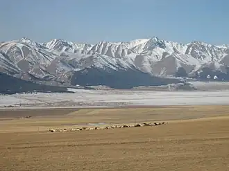 Nordostflanke des Barkol Shan