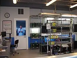 Barrens Topminnnow Laboratorium