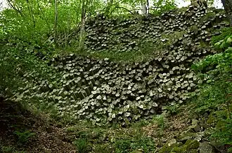 Basaltprismenwand am Südosthang des Gangolfsbergs