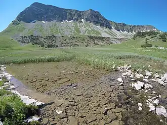 Baumgartenjoch nordseitig vom Delpssee