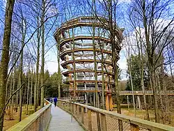 Aussichtsturm des Baumwipfelpfads Steigerwald