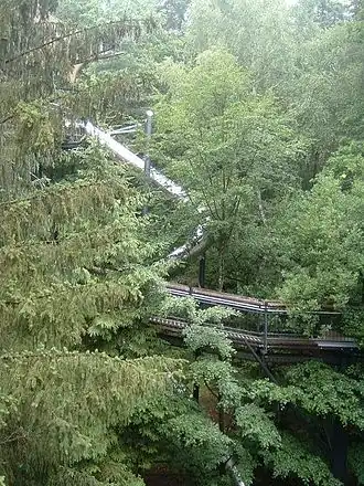 Blick vom Baumwipfelpfad nach unten