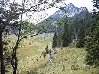 Die Bayerische Wildalm