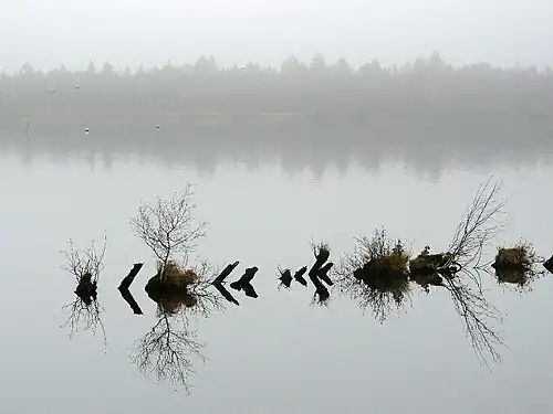 Herbstliche Nebel am Rand des Naturschutzgebietes Holzurburg