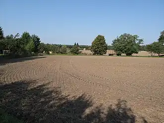 Flachwellige Ackerlandschaft bei Schwenow