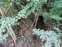 Beibach bei der Hangweide