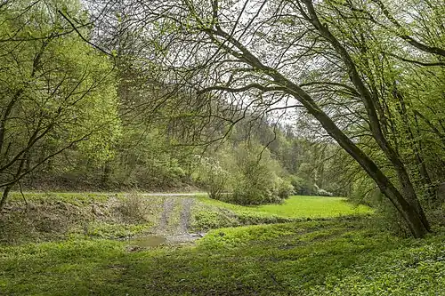 Furt durch den Wollenbach