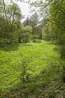 Wollenbach (links oben)