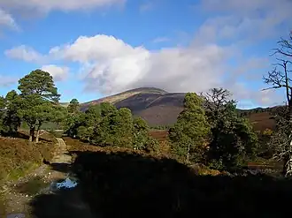 Der Beinn a’ Bhùird von Süden aus dem Glen Quoich