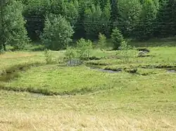 Benfe-Mäander zwischen Ludwigseck und Erndtebrück