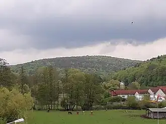 Benzberg Westhang von Sulzbach am Main aus gesehen