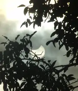 Beobachtung in Bergen an der Dumme um 11:49 Uhr MESZ