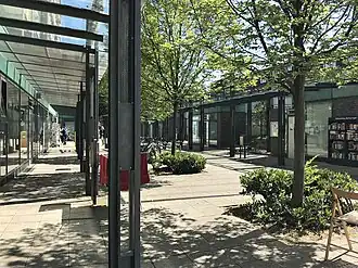 Blick in eine Platzanlage mit Bäumen.