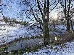 Berger Bach nordwestlich Berg