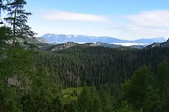 Bereich 1: Die Hügel sind abgerutschte Felsschollen.