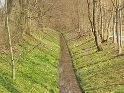 Bild des Schwarzen Grabens, der im Vordergrund gradlinig als kleines Rinnsal verläuft, im Hintergrund ist eine Kurve nach Links erkennbar. Die Hänge des Grabens sind mit Wiese bedeckt und werden jeweils von einer ausgewachsenen Baumreihe begrenzt.
